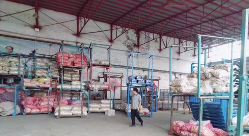 濟(jì)南萊蕪區(qū)寨里鎮(zhèn)薛埠村姜蒜加工廠安全生產(chǎn)專(zhuān)項(xiàng)檢查工作動(dòng)態(tài)