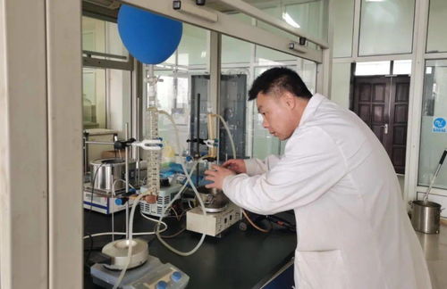 鞍山“小巨人”企業榮獲全國雙創大賽優秀企業獎，深耕信息領域技術研發再獲認可
